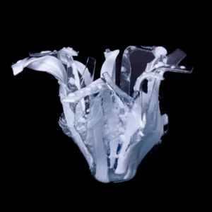 White and Blue Coral Vase